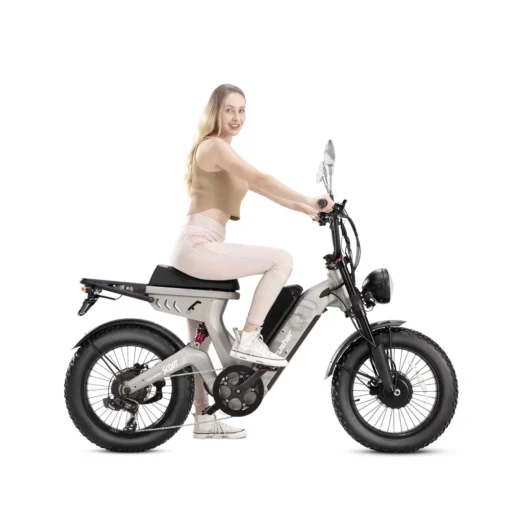 Scout Pro Vélo électrique à double batterie et double moteur – Image 6