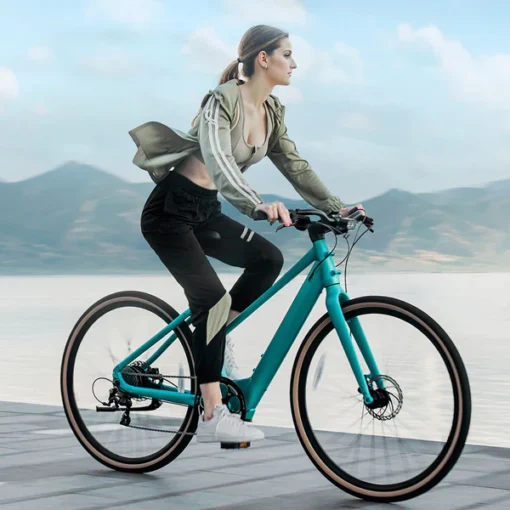 Fiido C22 - Gravel Vélo électrique Léger – Image 6