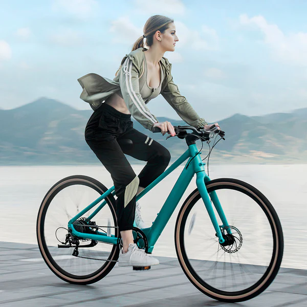 Fiido C22 - Gravel Vélo électrique Léger – Image 6