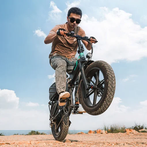 Fiido M1 Pro - Vélo électrique Vtt Fatbike Cargo De Gros Pneus – Image 7