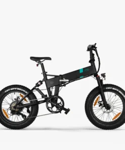 Fiido M21 - Vélo électrique Randonnée Avec Capteur De Couple