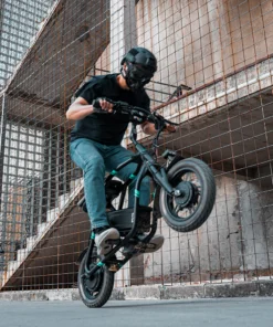 Alternative view of Scooter électrique pliable Fiido Q2 Dual Drive