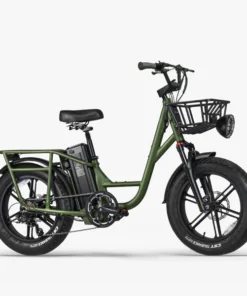 Fiido T1 Pro - Vélo électrique Fatbike Cargo