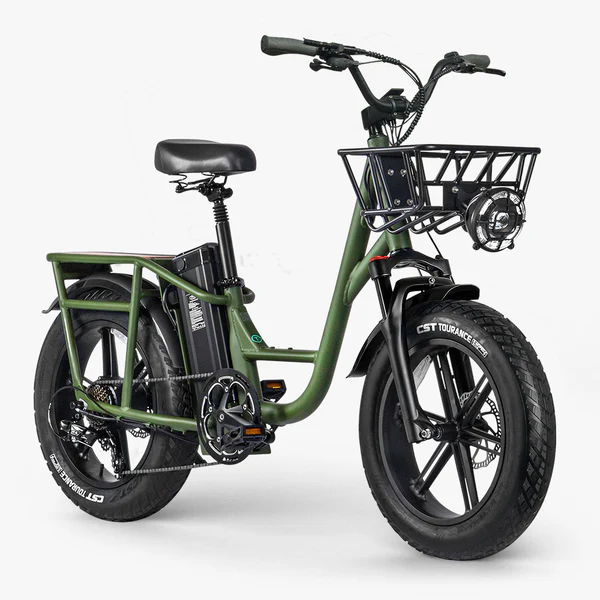 Fiido T1 Pro - Vélo électrique Fatbike Cargo – Image 4