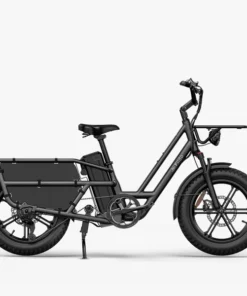 Vélo électrique Fiido T2