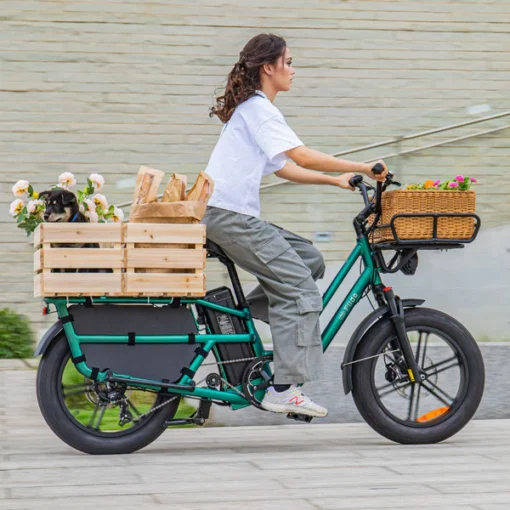 Vélo électrique Fiido T2 – Image 7