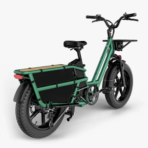 Vélo électrique Fiido T2 – Image 6