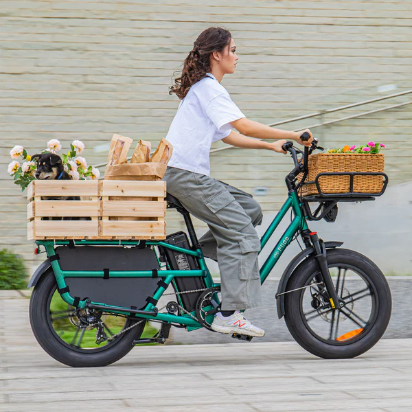 Vélo électrique Fiido T2 – Image 7