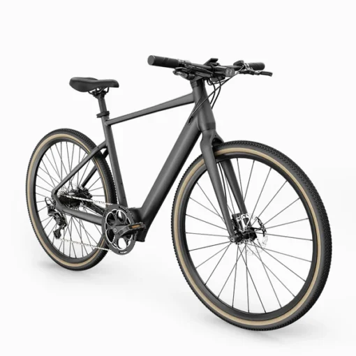 Fiido C21 - Gravel Vélo électrique Léger – Image 2