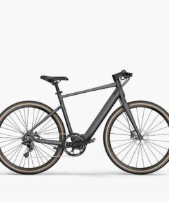 Fiido C21 - Gravel Vélo électrique Léger