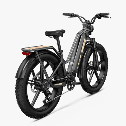 Fiido Titan - Vélo électrique Cross & Randonnée De Transport Robuste – Image 6