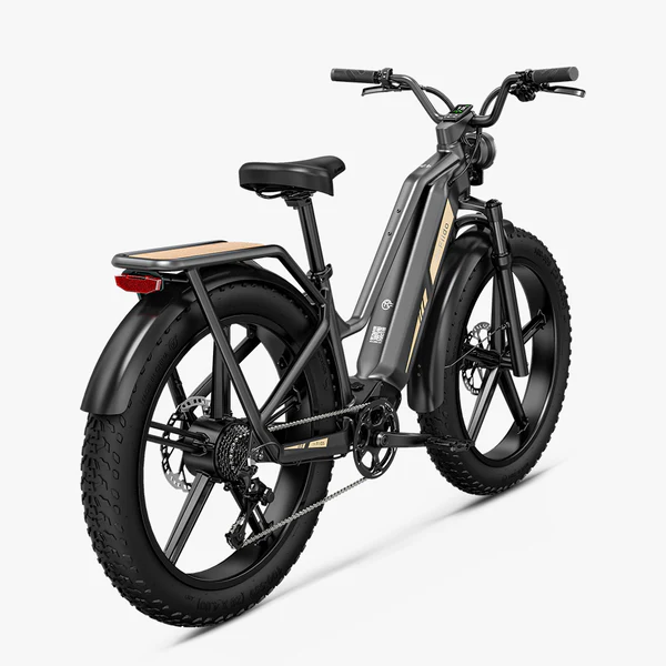 Fiido Titan - Vélo électrique Cross & Randonnée De Transport Robuste – Image 6