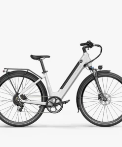 Vélo Électrique de Ville Fiido C11