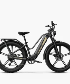 Fiido Titan - Vélo électrique Cross & Randonnée De Transport Robuste