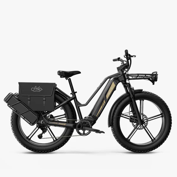 Fiido Titan - Vélo électrique Cross & Randonnée De Transport Robuste – Image 2