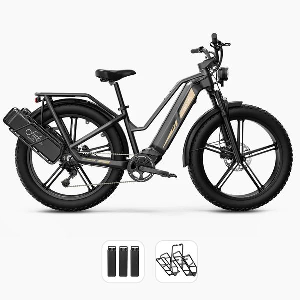 Fiido Titan - Vélo électrique Cross & Randonnée De Transport Robuste – Image 4