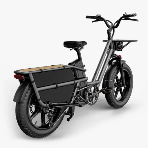Vélo électrique Fiido T2 – Image 3