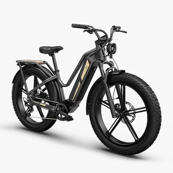 Fiido Titan - Vélo électrique Cross & Randonnée De Transport Robuste – Image 3