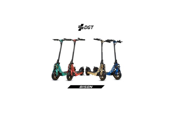 Bison 800W Trottinette électrique 10 pouces