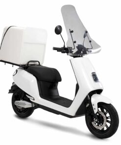 Scooter électrique LVNENG S5 Delivery