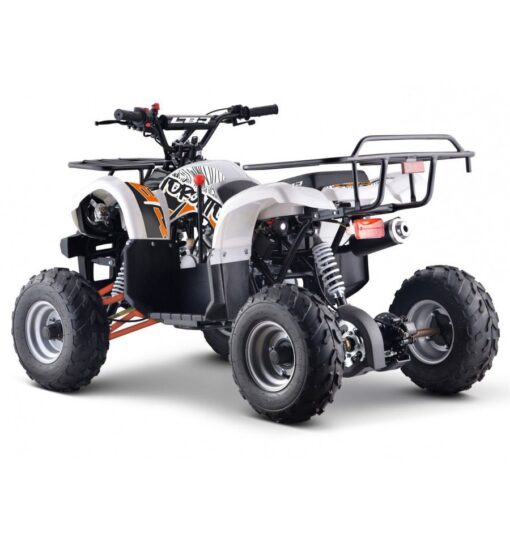 Quad 125cc enfant LBQ Toronto – Image 4