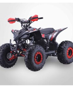 Alternative view of Quad enfant 125cc PROBIKE