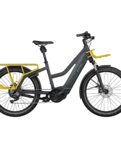 Riese & Müller Multicharger Mixte GT touring 750 HS