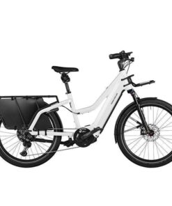 Riese & Müller – Multicharger Mixte