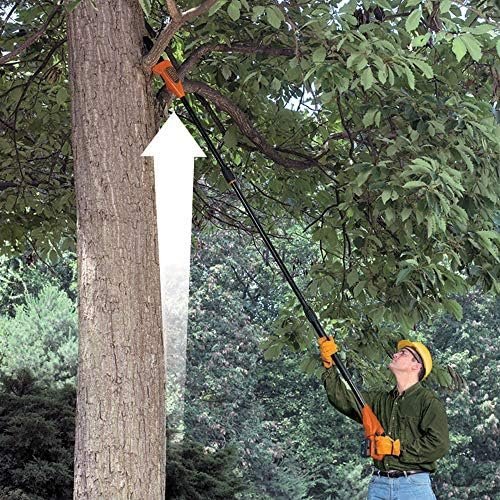 Elagueur sur Perche Sans Fil 18 V BLACK+DECKER – Image 3