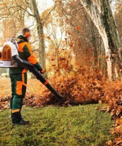 Alternative view of SOUFFLEUR À DOS STIHL BR 700