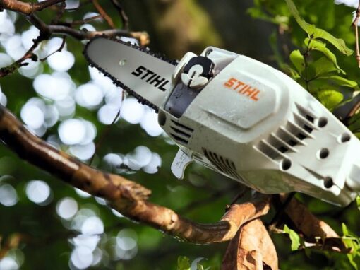 PERCHE ÉLAGUEUSE STIHL HT 56 CE – Image 2