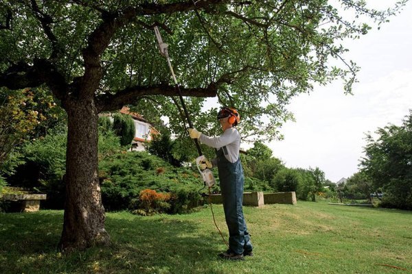 PERCHE ÉLAGUEUSE ÉLECTRIQUE STIHL HTE 60 – Image 2