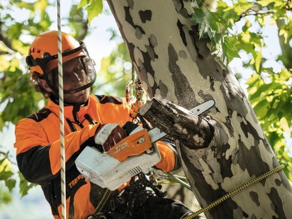 ÉLAGUEUSE À BATTERIE STIHL MSA 161 T – Image 2