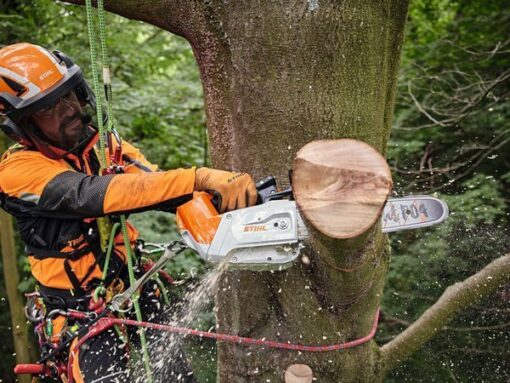 ÉLAGUEUSE À BATTERIE STIHL MSA 220 T – Image 2