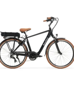 Vélo électrique ville Beaufort Birgit
