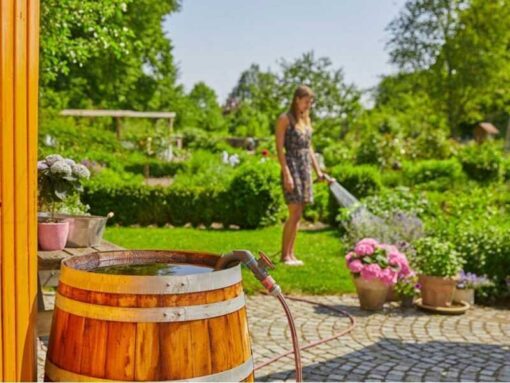 Pompe immergée Gardena 4700/2 inox automatic – 550W – Image 2